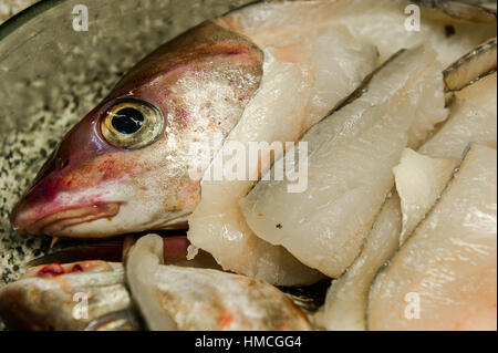Haddock's head and fillets in a dish in a domestic kitchen. Stock Photo