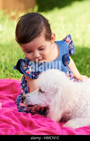 small girl kid touching dog white poodle outside Stock Photo