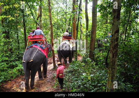 riding elephants in the jungle in thailand Stock Photo