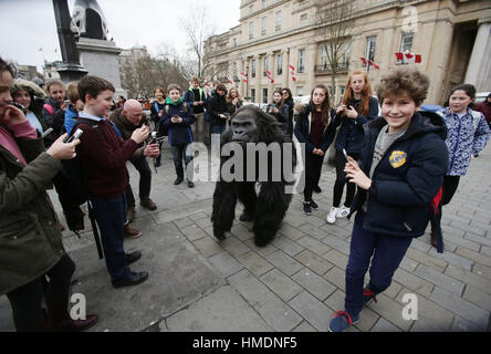 A performer in an animatronic gorilla suit in Trafalgar Square, London, interacts with members of the public during a promotion by the Uganda Tourism Board to highlight Uganda as a holiday destination. Stock Photo