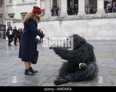 A performer in an animatronic gorilla suit in Trafalgar Square, London, interacts with members of the public during a promotion by the Uganda Tourism Board to highlight Uganda as a holiday destination. Stock Photo