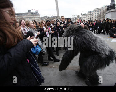 A performer in an animatronic gorilla suit in Trafalgar Square, London, interacts with members of the public during a promotion by the Uganda Tourism Board to highlight Uganda as a holiday destination. Stock Photo