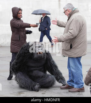 A performer in an animatronic gorilla suit in Trafalgar Square, London, interacts with members of the public during a promotion by the Uganda Tourism Board to highlight Uganda as a holiday destination. Stock Photo