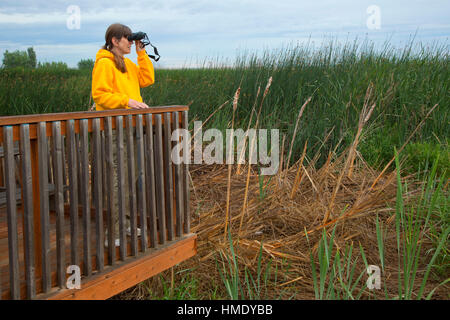 Birding from observation deck, Irrigon Wildlife Area, Irrigon, Oregon Stock Photo