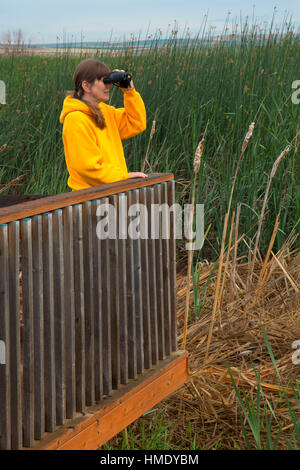 Birding from observation deck, Irrigon Wildlife Area, Irrigon, Oregon Stock Photo