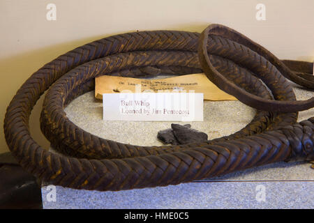 Bullwhip, Fossil Museum, Journey through Time National Scenic Byway, Fossil, Oregon Stock Photo