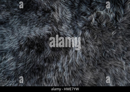 Grey sheepskin rug background. Wool texture. Close up sheep fur Stock Photo