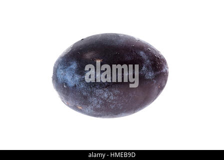Homegrown organic pile of blue plums isolated on white background. Bunch of ripe purple plums. Studio shot. Stock Photo