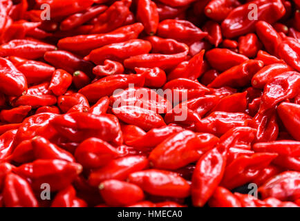 Bunch of red lantern hot chilli peppers. A pile of red lantern habanero peppers are stacked on a market stand. Stock Photo