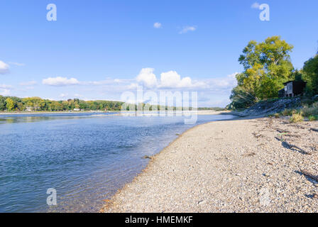 Orth an der Donau: National park Donauauen, Donau, Niederösterreich, Lower Austria, Austria Stock Photo