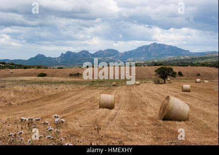 Sardinian harvest scene of field with large round bales of hay scattered around with mountains behind in sunshine and cloud Stock Photo
