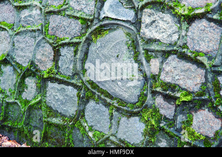 green moss covered the old stone wall Stock Photo