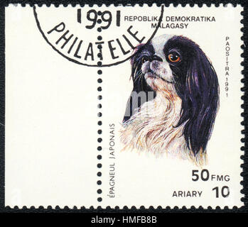 A postage stamp printed in Republica Malagasy shows a dog Japanese Chin, from series Breeds of dogs , circa 1991 Stock Photo