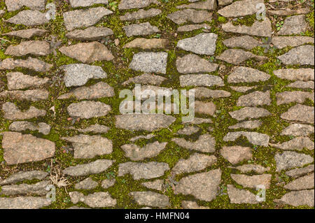 Block paving with moss growing between block, Suzhou, China Stock Photo
