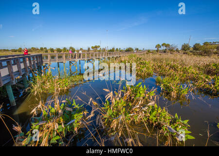 Boardwalk in the Celery Fields recreation and nature area in Sarasota Couny in Sarasota Florida Stock Photo