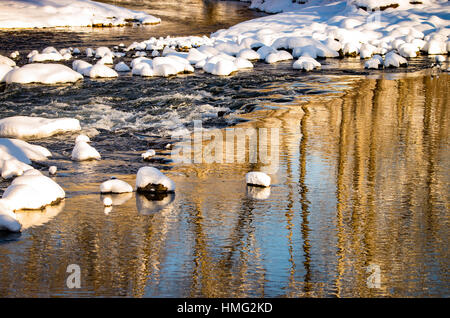 Winter, Reflections of snow and  cottonwood trees in winter. Boise River, Boise, Idaho, USA Stock Photo