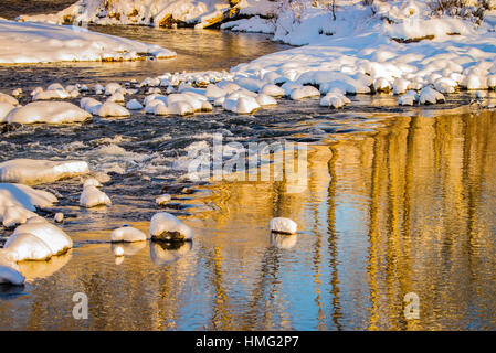 Winter, Reflections of snow and  cottonwood trees in winter. Boise River, Boise, Idaho, USA Stock Photo