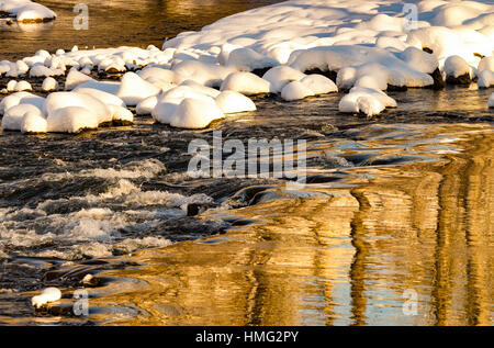 Winter,Reflections of snow and  cottonwood trees in winter. Boise River, Boise, Idaho, USA Stock Photo