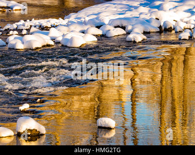 Winter, Reflections of snow and cottonwood trees in winter. Boise River, Boise, Idaho, USA Stock Photo