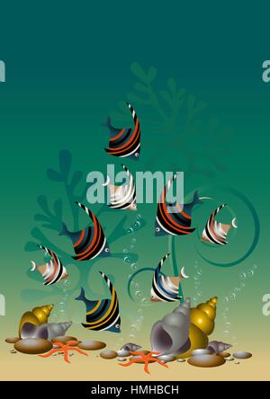 Motley fish and starfish among algae and shells Stock Vector