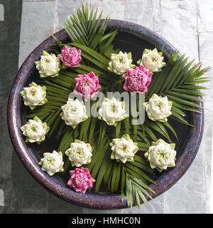 Lotus Blossoms Floating in Bowl, Phnom Penh, Cambodia Stock Photo