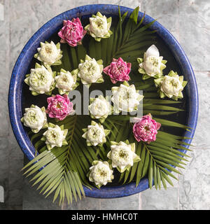 Lotus Blossoms Floating in Bowl, Phnom Penh, Cambodia Stock Photo