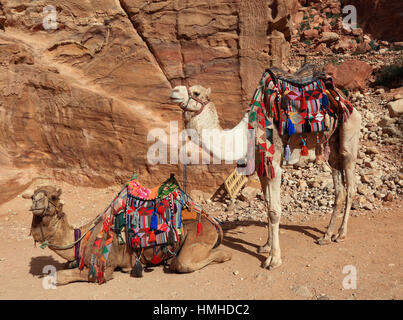 Riding camels, abandoned rock city Petra, al-Batra, capital of the kingdom of the Nabataeans, Jordan, UNESCO World Cultural Heritage Stock Photo