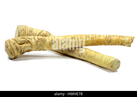 horseradish isolated on white background Stock Photo