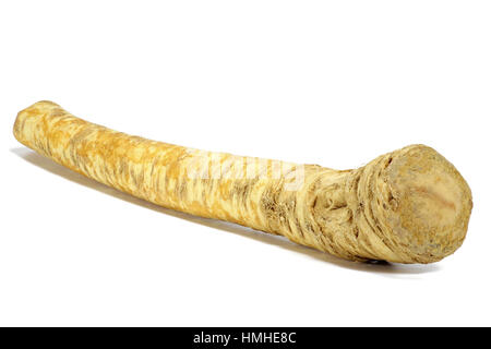 horseradish isolated on white background Stock Photo