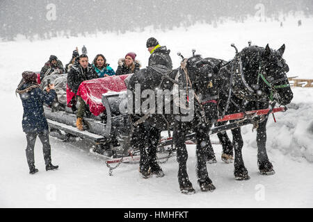 Tourists on horse drawn sleigh ride; The Fairmont Lake Louise; Lake Louise; Banff National Park; British Columbia; Canada Stock Photo