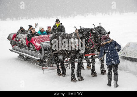 Tourists on horse drawn sleigh ride; The Fairmont Lake Louise; Lake Louise; Banff National Park; British Columbia; Canada Stock Photo