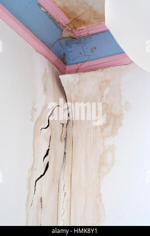 1 of 5 - Damage caused to ceiling, plaster cornice & wallpaper by water from a leaking roof. Search UIDIY1 for sequence. Stock Photo