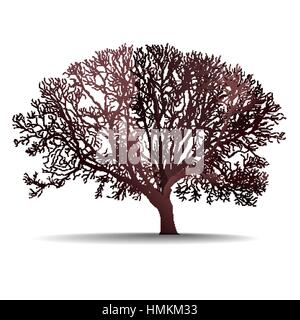 leafless tree isolated vector illustration on white background Stock Vector