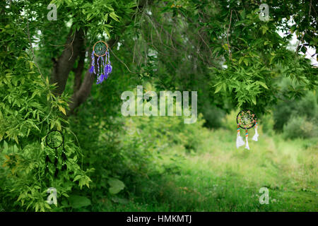 Green nature background with dream catchers on branches, selective focus Stock Photo