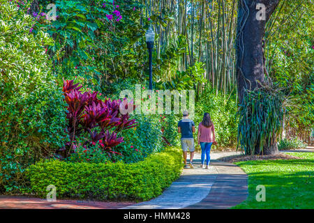 Sunken Gardens 100 year old botanical gardens in St Petersburg Florida Stock Photo