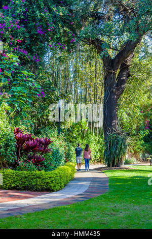 Sunken Gardens 100 year old botanical gardens in St Petersburg Florida Stock Photo