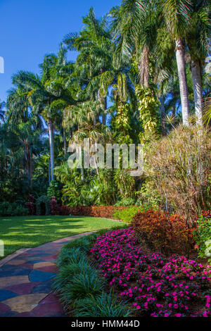 Sunken Gardens 100 year old botanical gardens in St Petersburg Florida Stock Photo