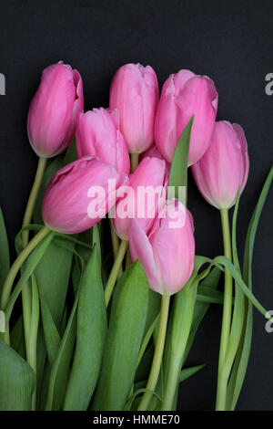 Pink Tulip Bouquet on black background Stock Photo