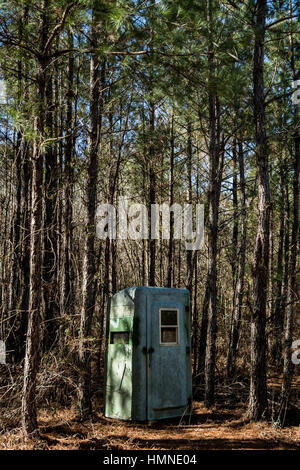 A portable bathroom converted into a hunting stand in a pine forest in Autryville, NC. Stock Photo