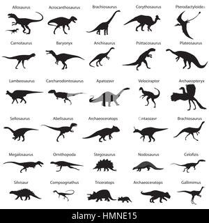 Collection of silhouettes of dinosaurs with names Stock Vector