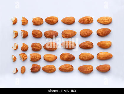 Several almond pieces, some chopped and some whole placed in neat rows on a white surface Stock Photo