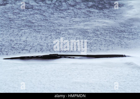 front view close up of a black car frozen windscreen wiper covered in snow in winter time on a city street Stock Photo