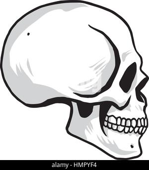 Skull Vector illustration Sideview Stock Vector