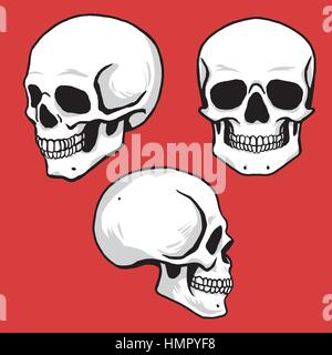 Skull Set in Hand Drawing Style Stock Vector