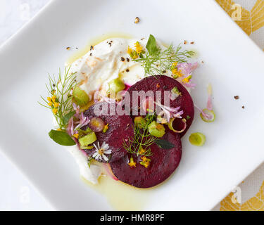 A close up of a sliced beet, herb and creme fraiche salad on a white square plate. Stock Photo