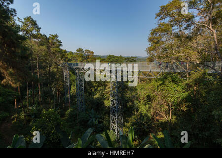 The Canopy walkway at Queen Sirikit Botanic Garden in Mae Rim, Chiang Mai, Thailand Stock Photo