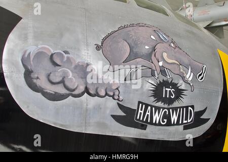 Boeing B-29 Superfortress nose art 'its Hawg Wild' on static display at the American Air Museum Stock Photo