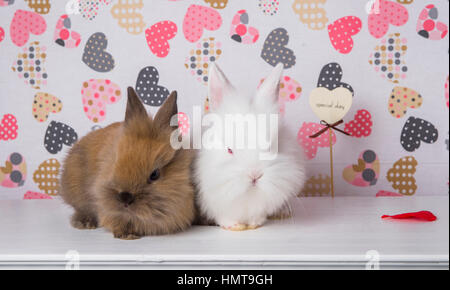 Two rabbits on the background of hearts Stock Photo