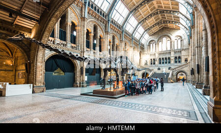 London, United Kingdom - October 19, 2016: Tourists are visiting Natural history museum in London, England. Stock Photo