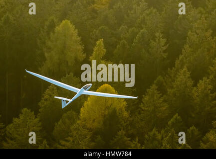 Glider, two-seater, Duo Discus D-5443 over autumn forest, near Arnsberg, Ruhr district, North Rhine-Westphalia, Germany Stock Photo